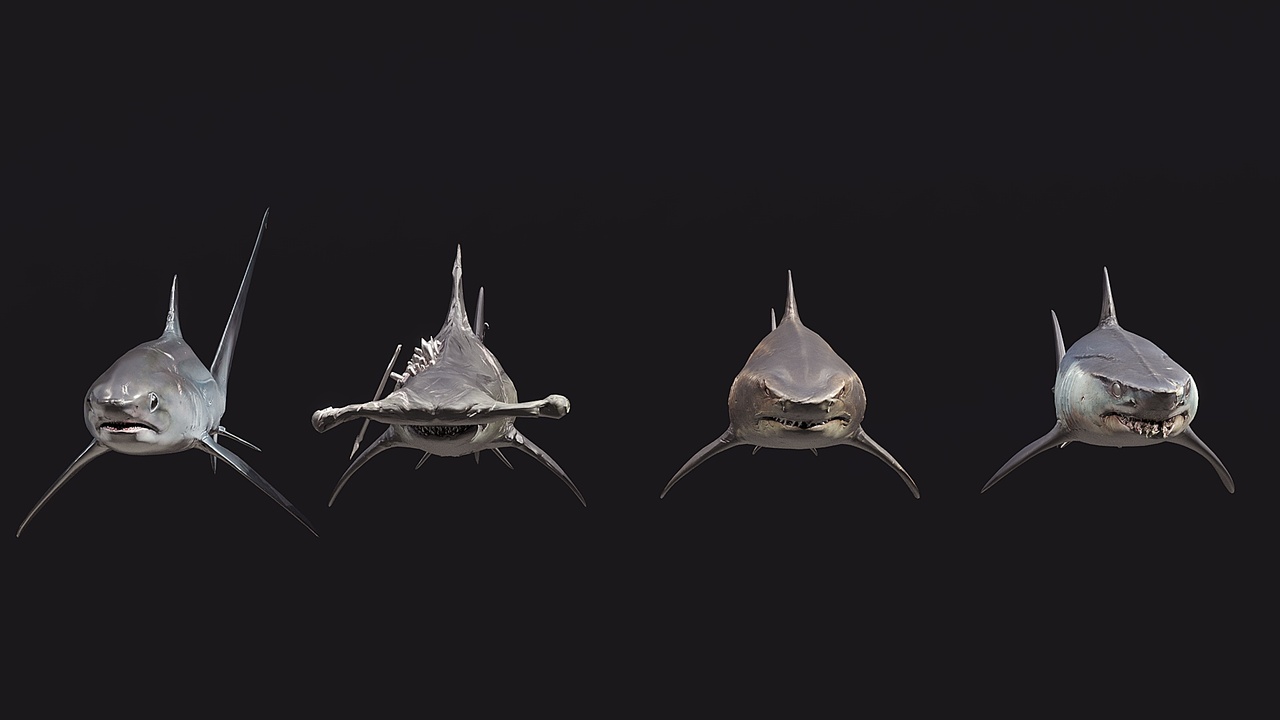 Media 1 for listing 4 species of sharks