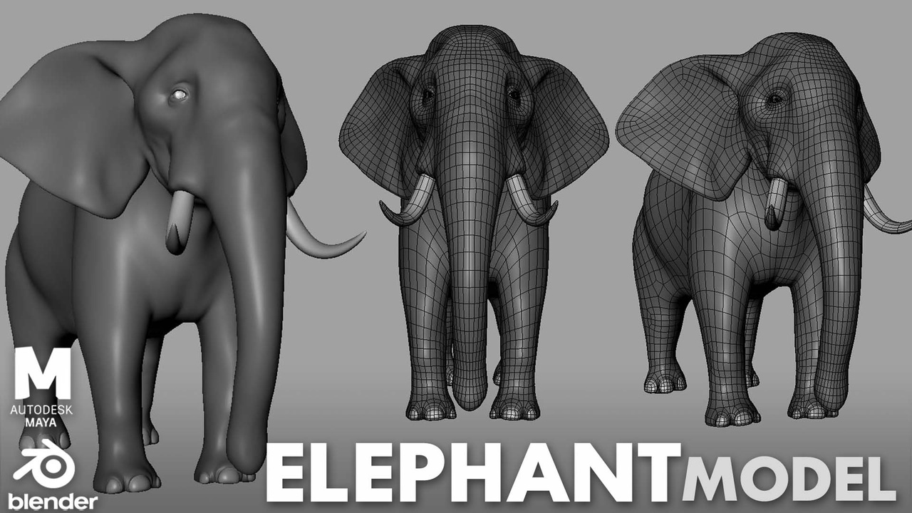 Media 1 for listing Elephant - Topology + UV Map