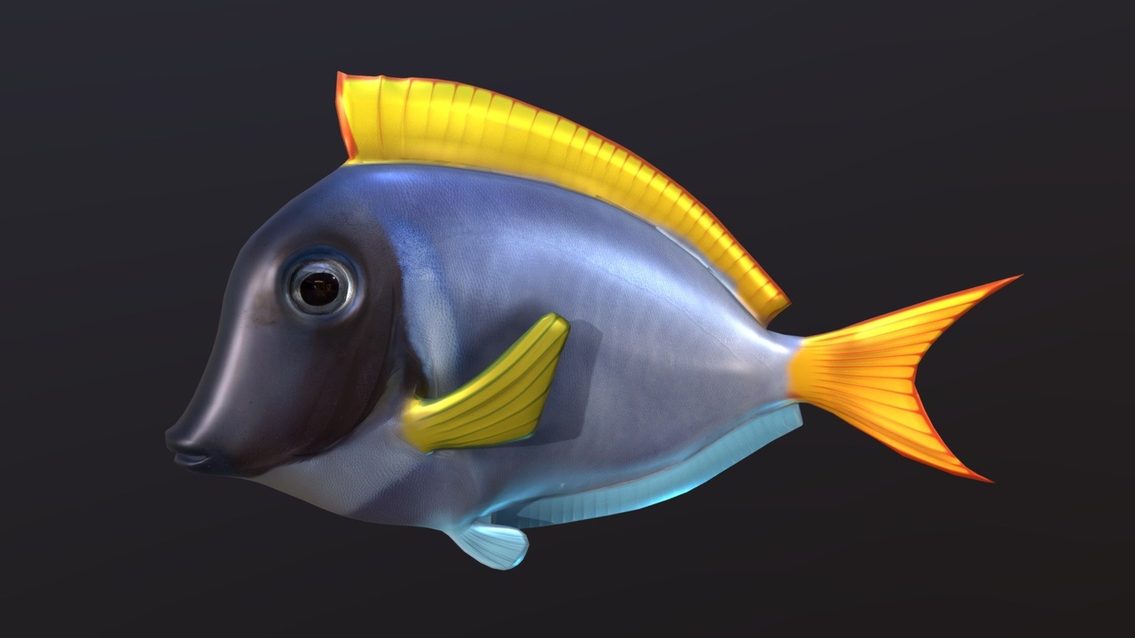 Media 1 for listing Naso Elegance 3D, Low poly