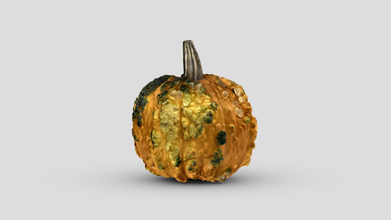 Media 1 for listing Small Bumpy Pumpkin