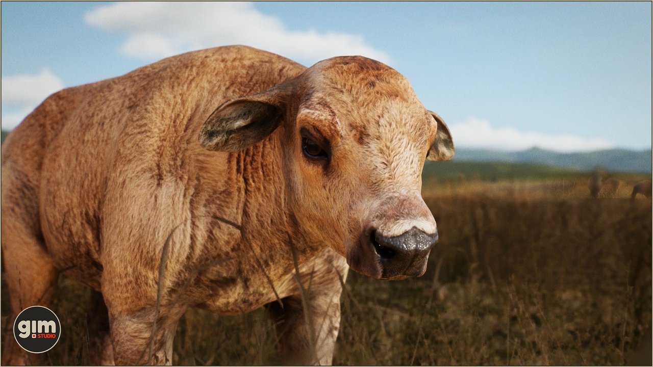 Média 1 pour l'article Animalia - American Bison (young)