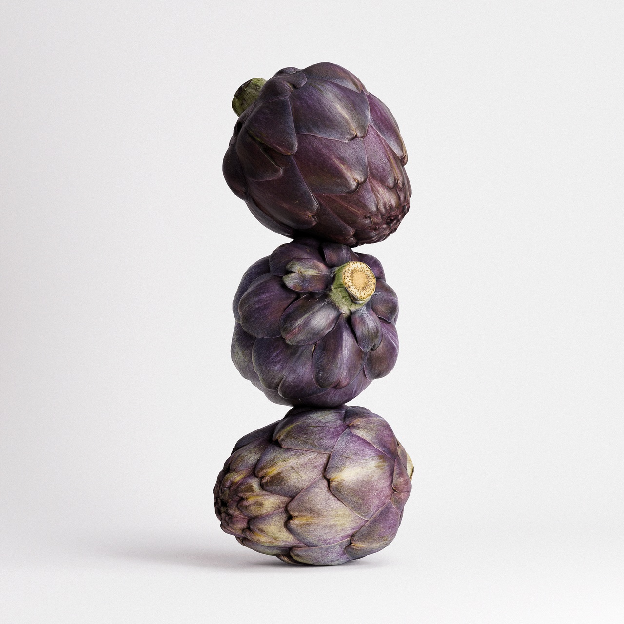 出品Artichoke Set 03のメディア1