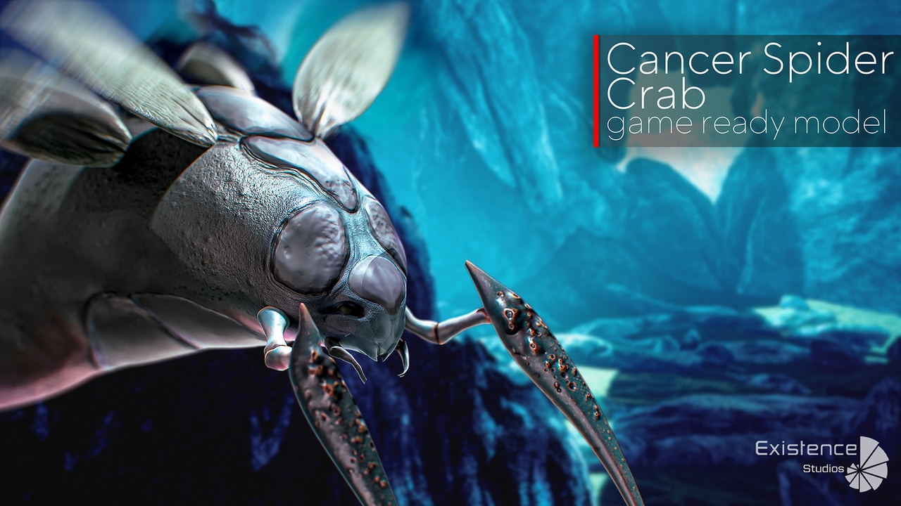 Media 1 for listing Crayfish Spider Crab - Underwater Ocean Predator - Crustacea Cancer - #12