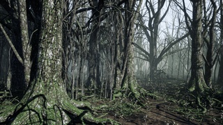 【RARE】ダーク V.A Tales From The Dark Forest Tales From The Dark Forest - Compilation by Various Artists