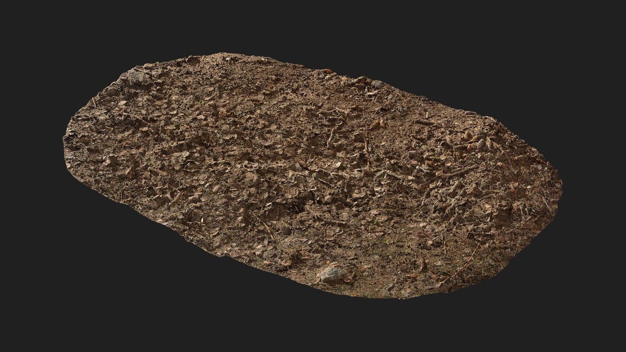 Media 1 for listing Forest Terrain