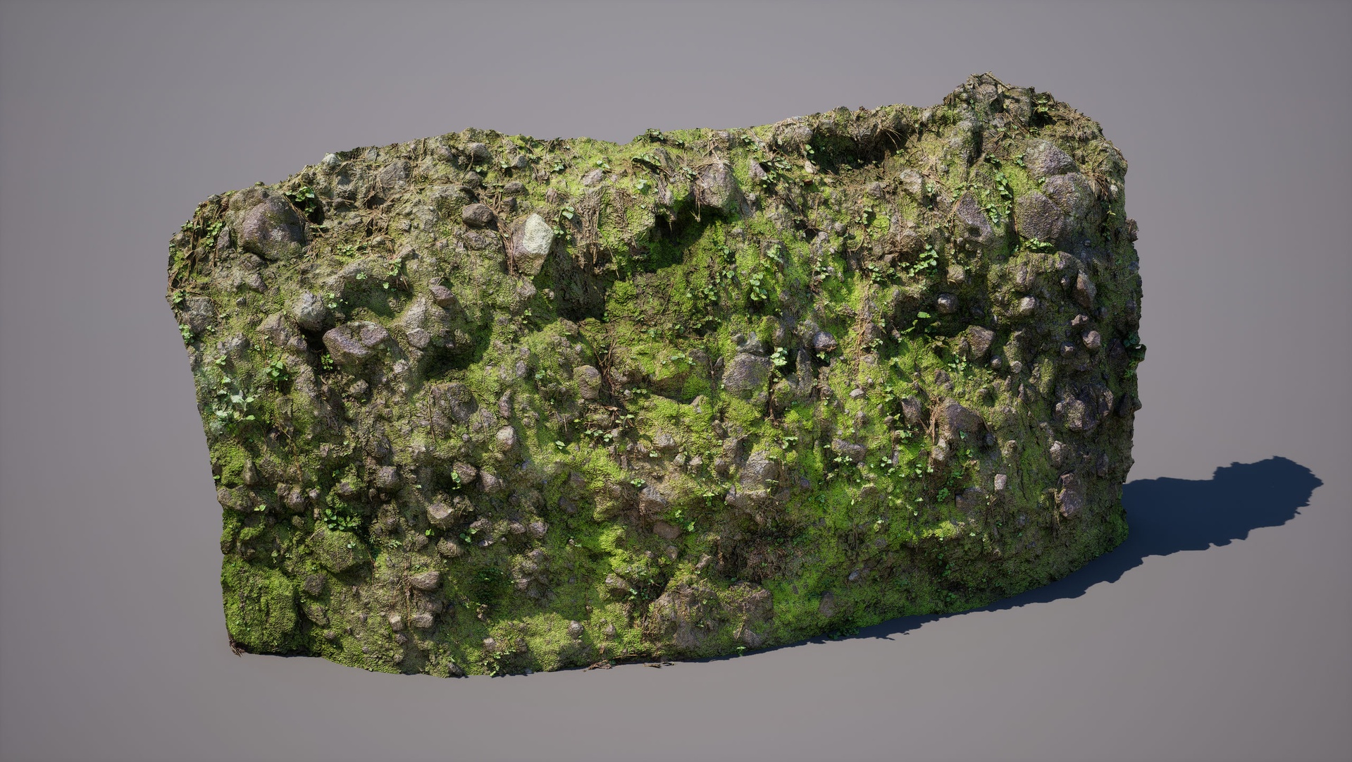 商品 Forest Mossy Cliff 001 的媒体 1