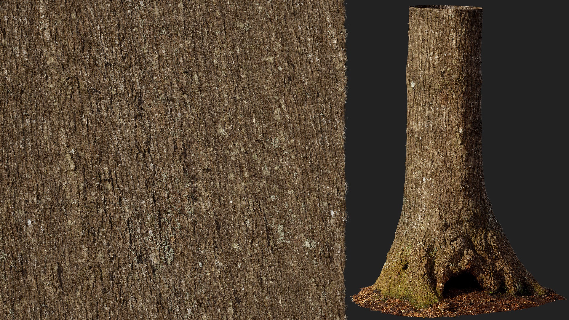Media 1 for listing Red Oak Bark 01