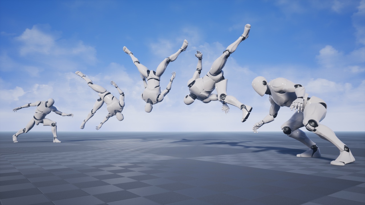 Media 1 for listing Flips and Tricks