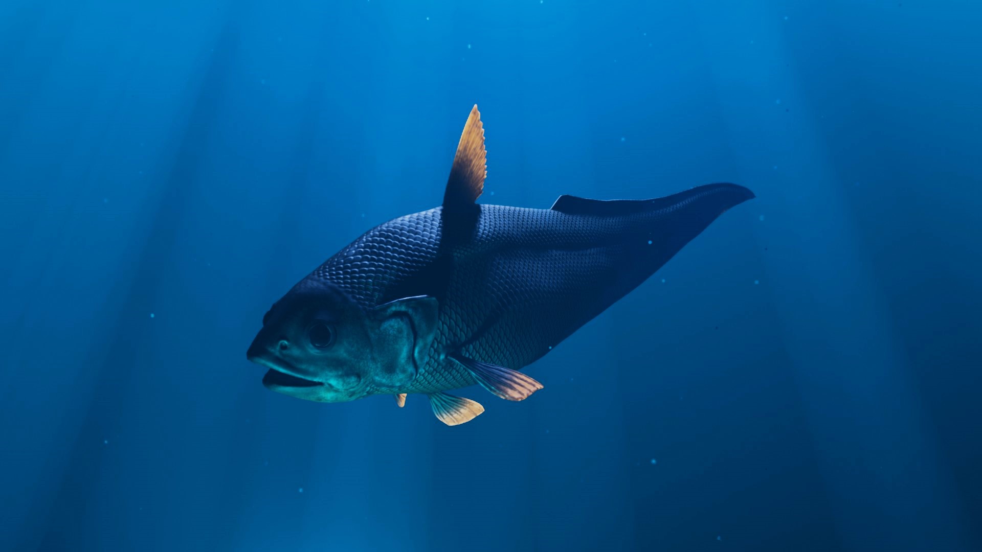 Realistic Deep Sea Abyssal Grenadier | Fab