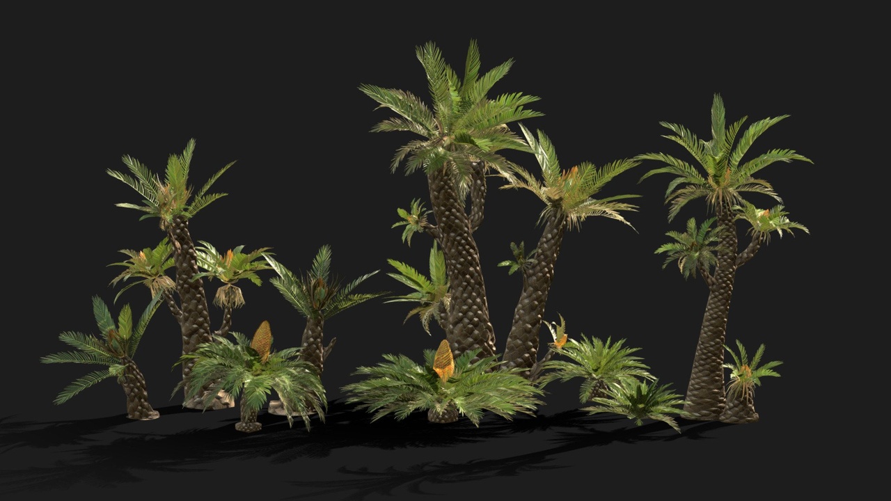Media 1 for listing PALEO CYCAD TREE PACK