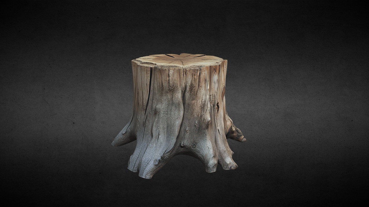 Media 1 for listing Tree+stump+3d+model