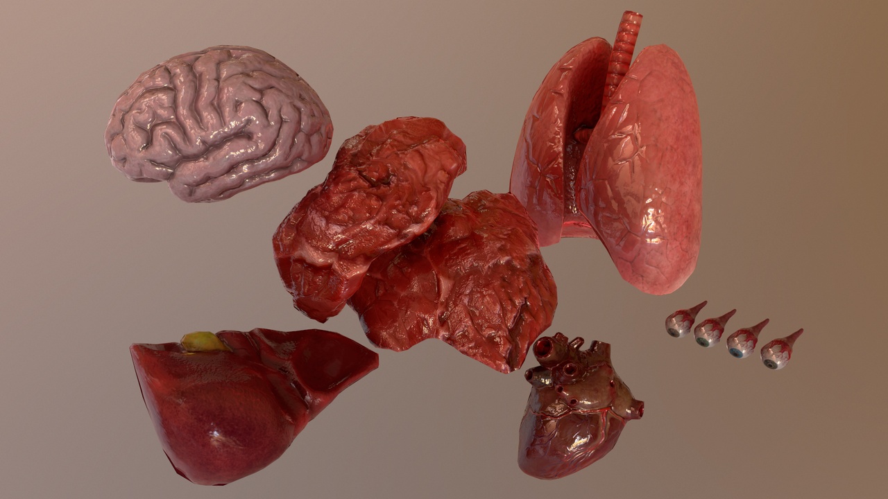 出品Internal Organs Collectionのメディア1