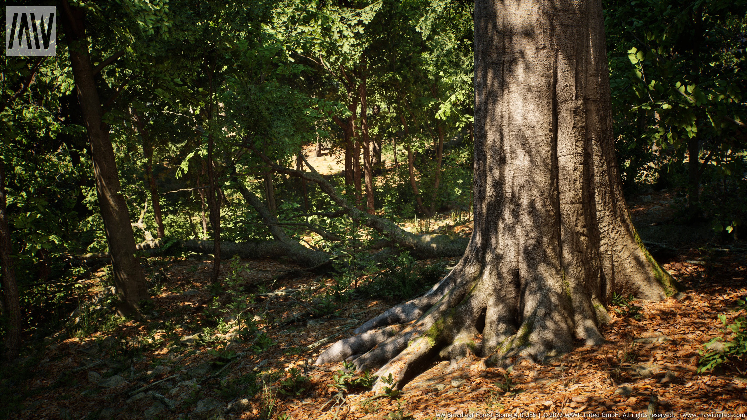 商品 MW Broadleaf Forest Trees Biome 的媒体 1
