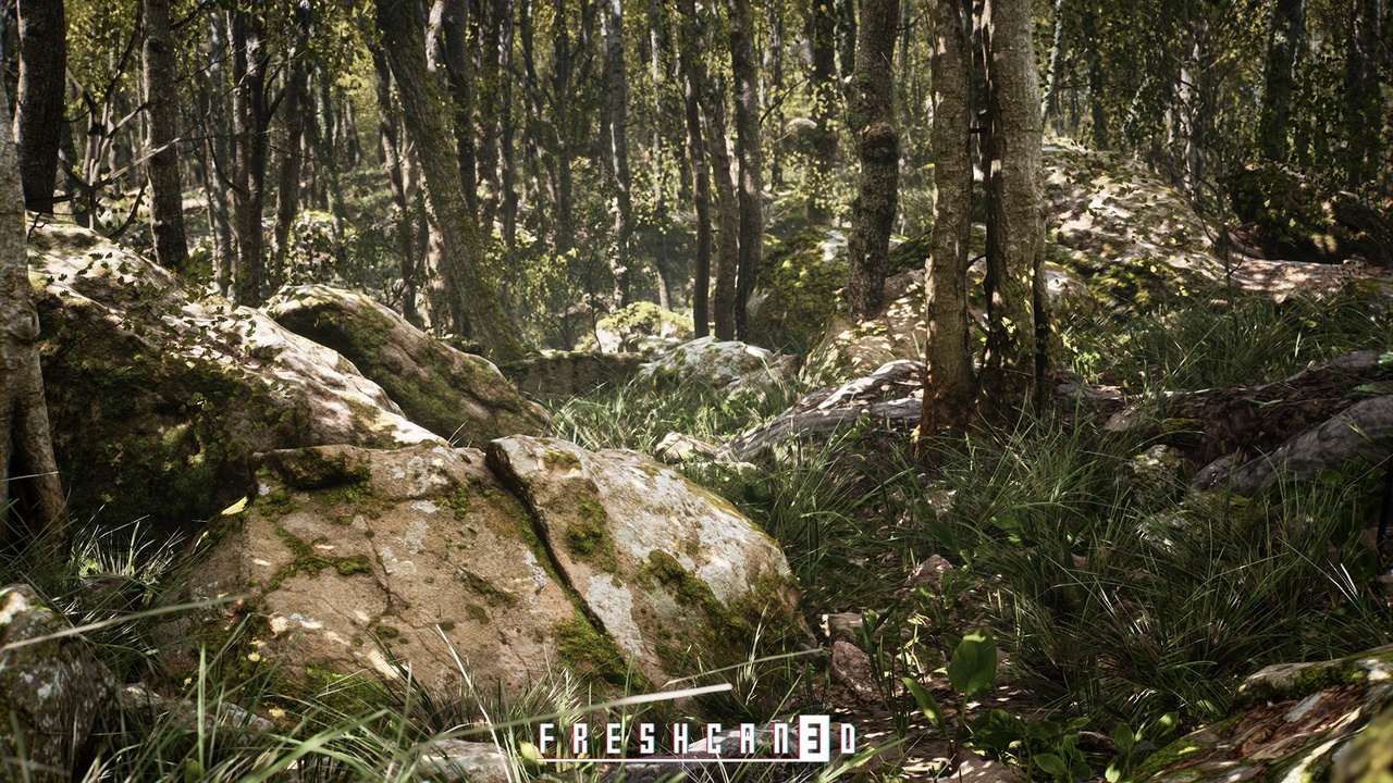 Media 1 for listing Procedural Oak Forest ( Forest , Winter Forest , Spring Forest , Autumn Forest )