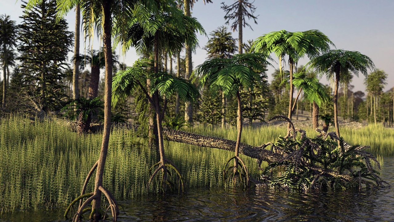 Media 1 for listing Prehistoric Plants And Trees