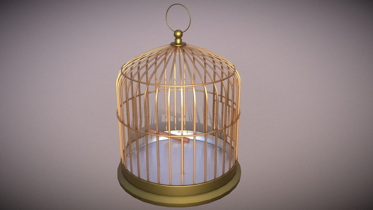出品Simple Birdcageのメディア1
