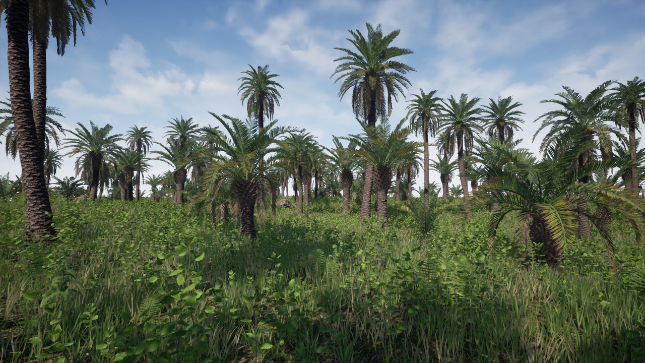 Media 1 for listing Palms Pack 02 (Phoenix canariensis)