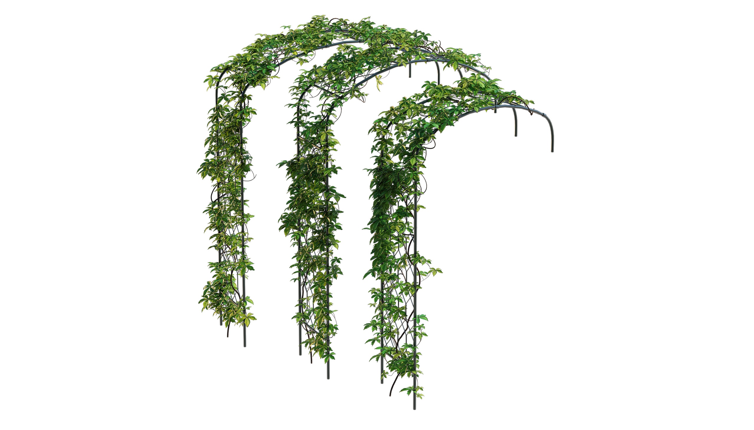 Media 1 for listing Wall Arch