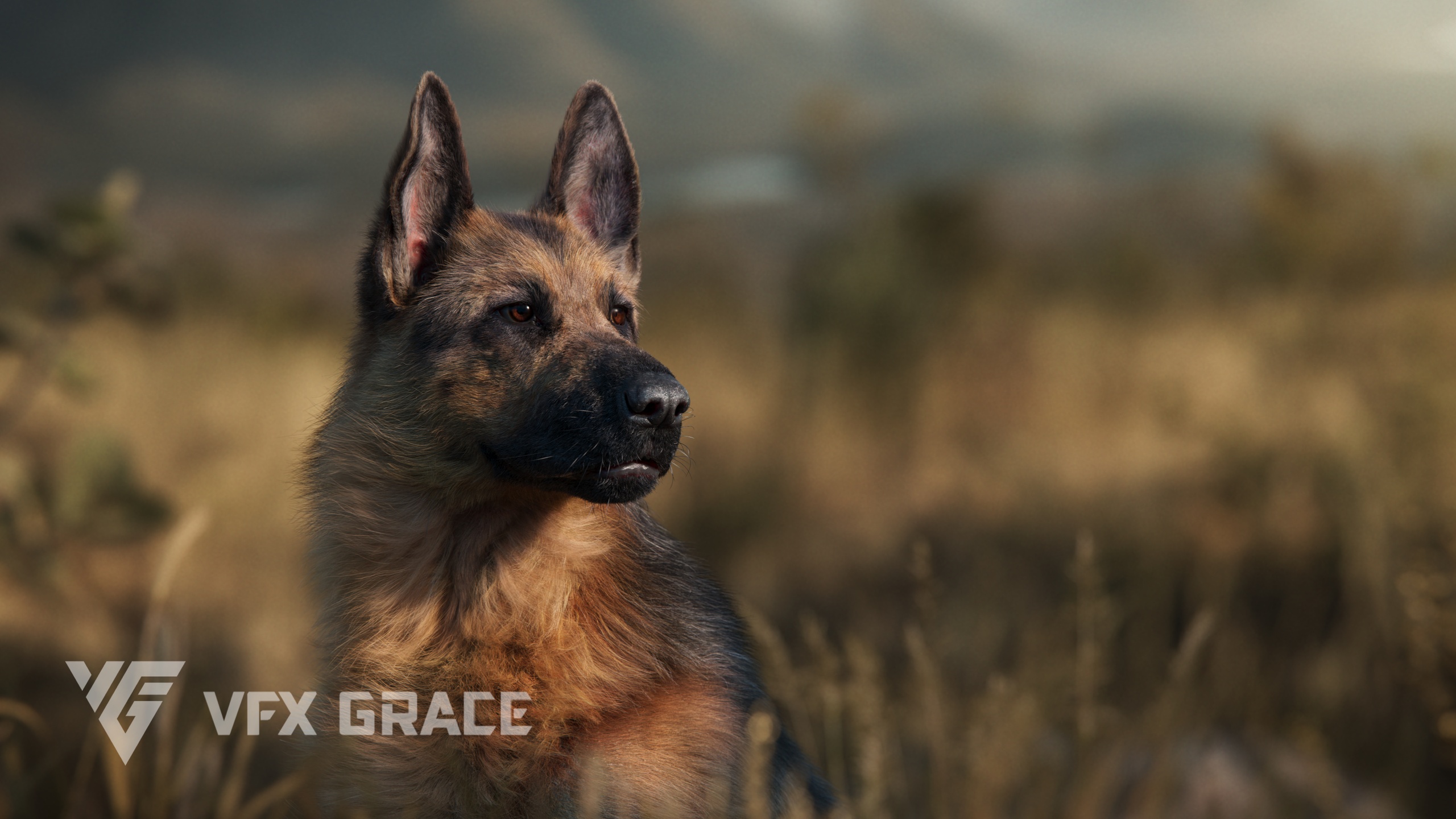 Media 1 for listing German Shepherd 3D Model – Realistic & Rigged Dog Animation