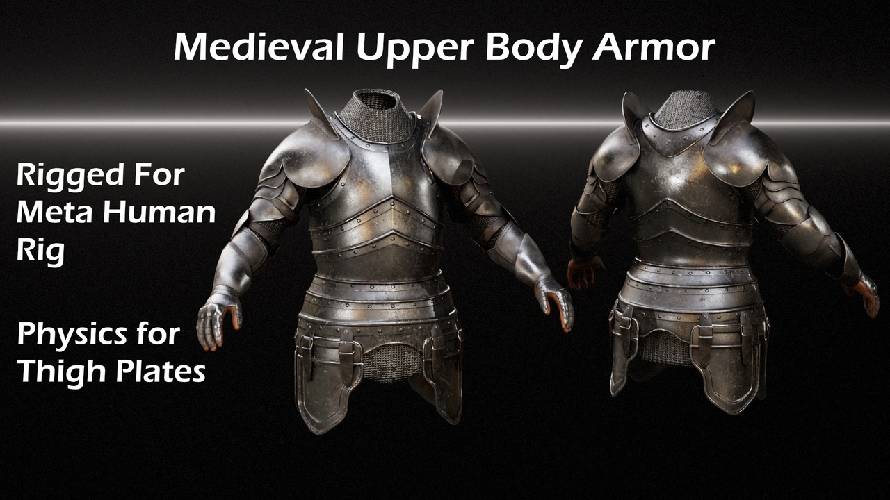 Media 1 for listing Medieval Upper Body Armor