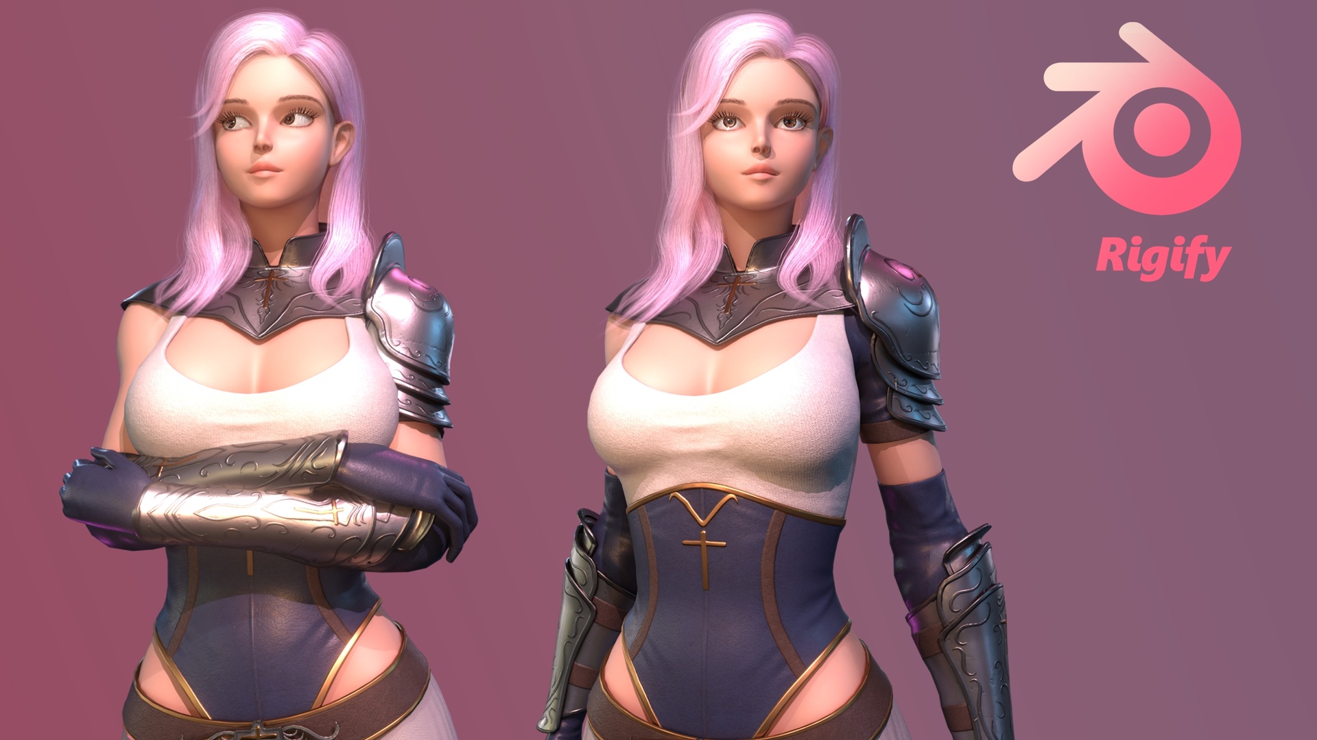 Media 1 for listing Stylized Paladin