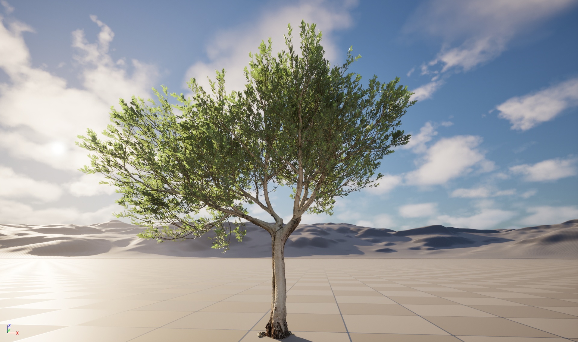Media 1 for listing Nanite Wind Plants - Scanned Olea europaea - Common olive Pack 14