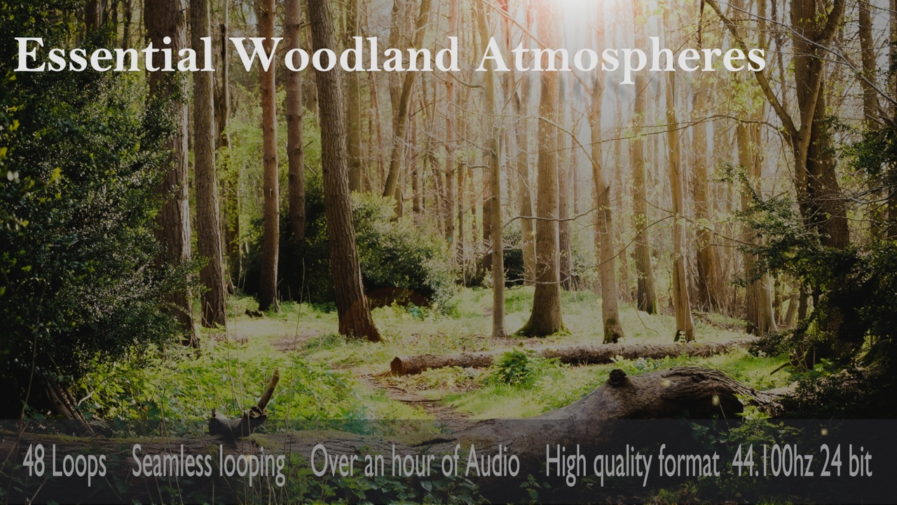 Media 1 for listing Essential Woodland Atmospheres