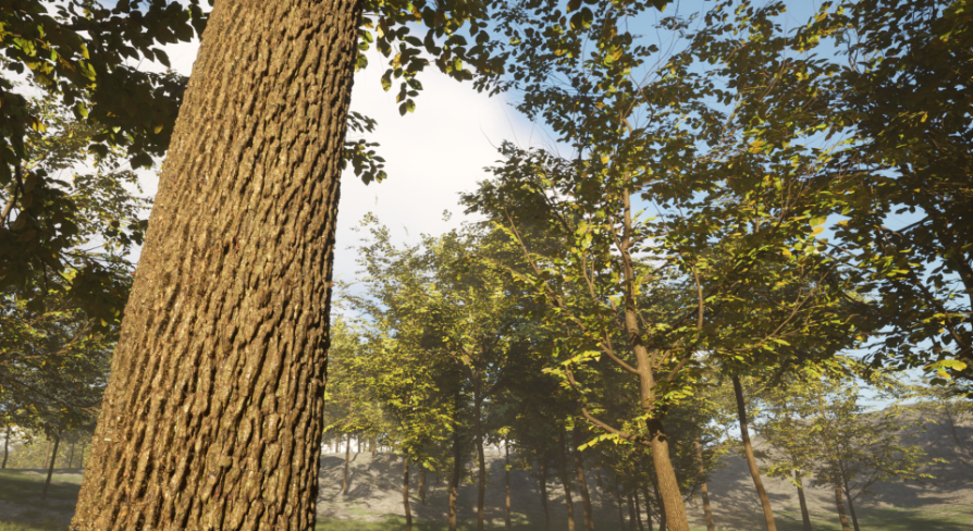 Full Geometry Oak Trees | Fab