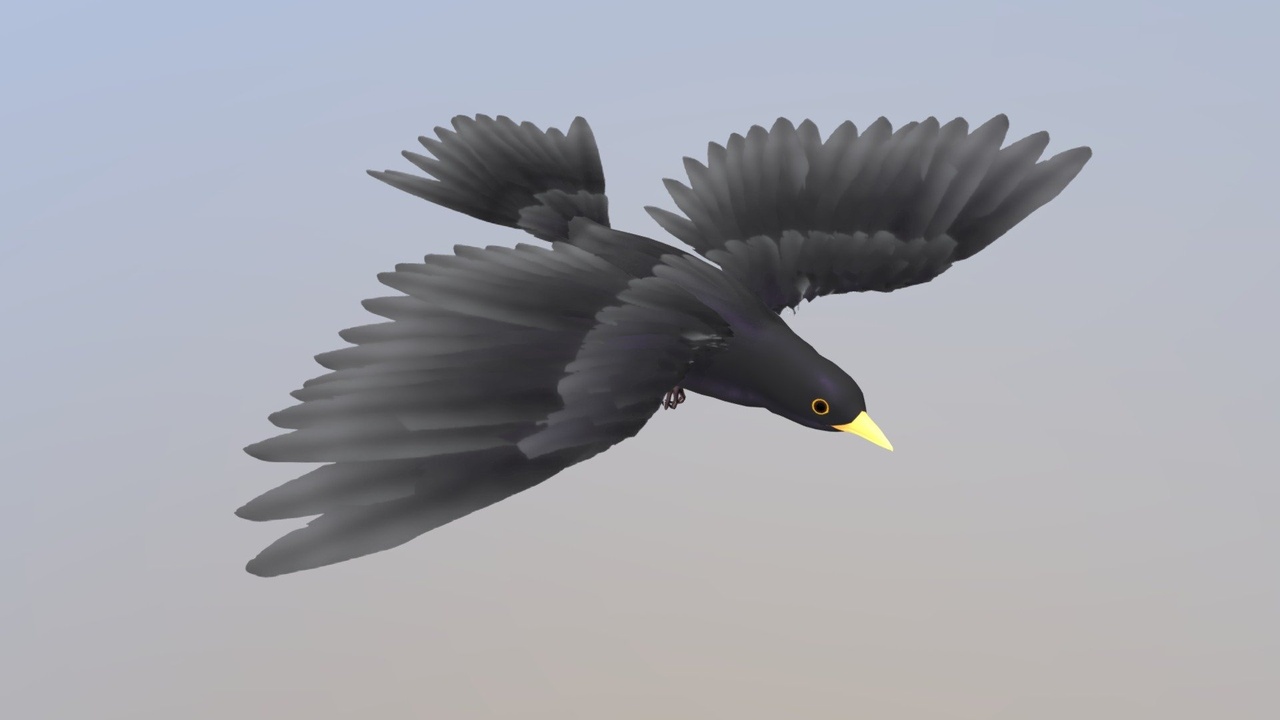 Media 1 for listing Animated Black bird