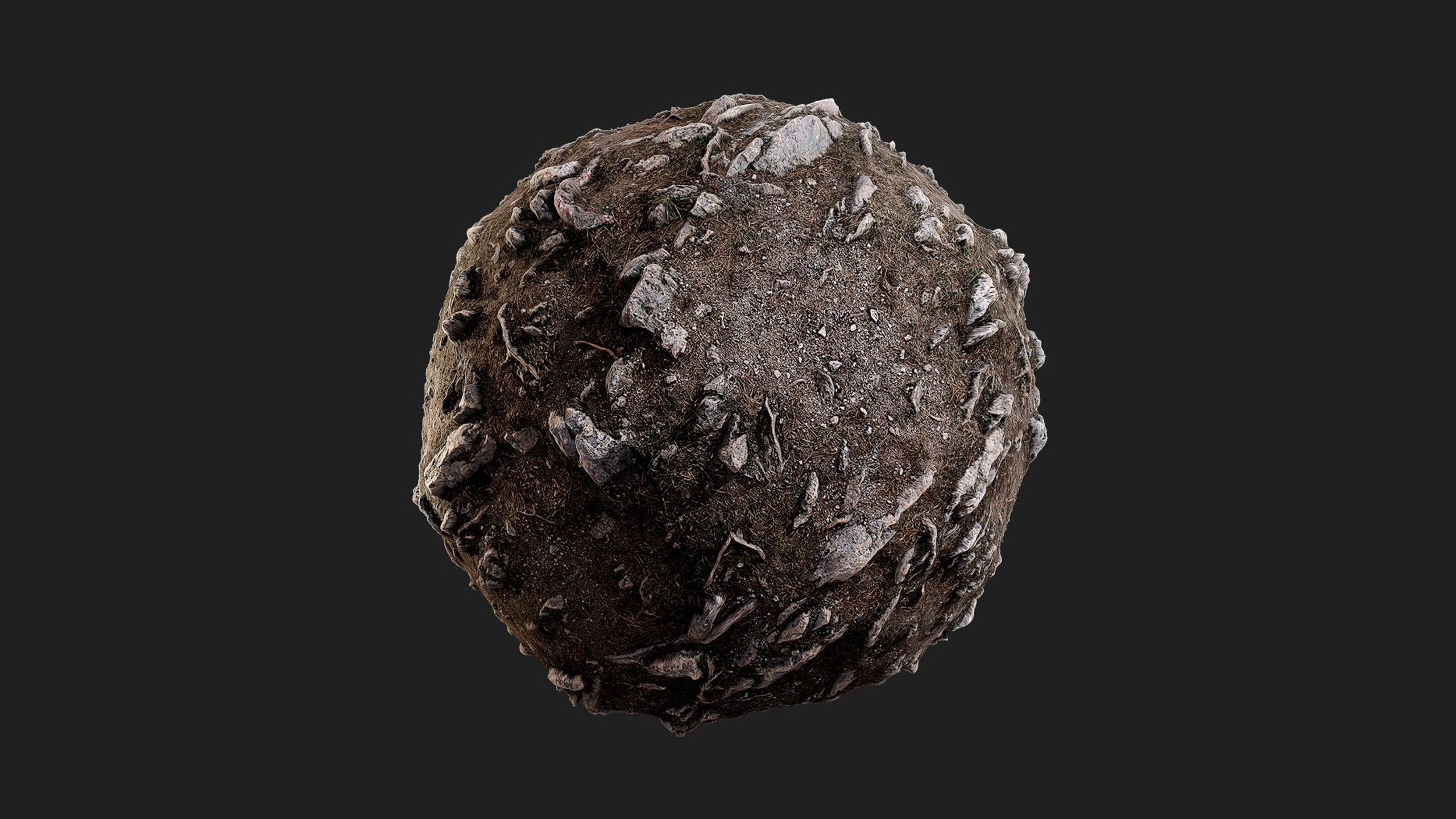 Media 1 for listing Rocky Forest Floor