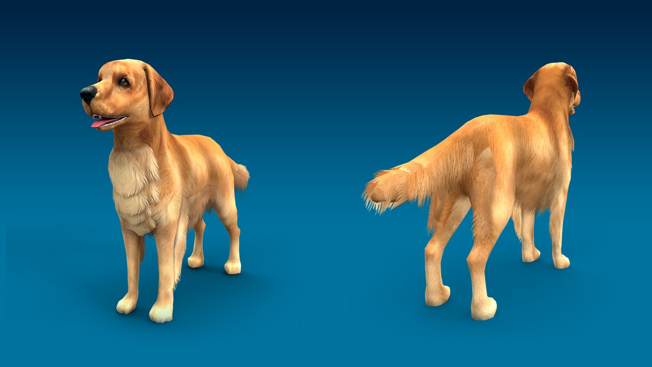 Media 1 for listing Golden Retriever 3D Dog Model
