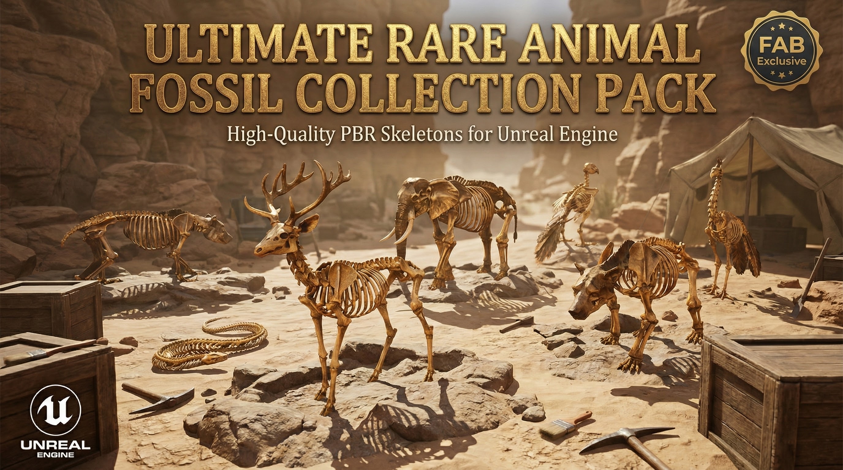 Ultimate Rare Animal Fossil Collection Pack | Fab