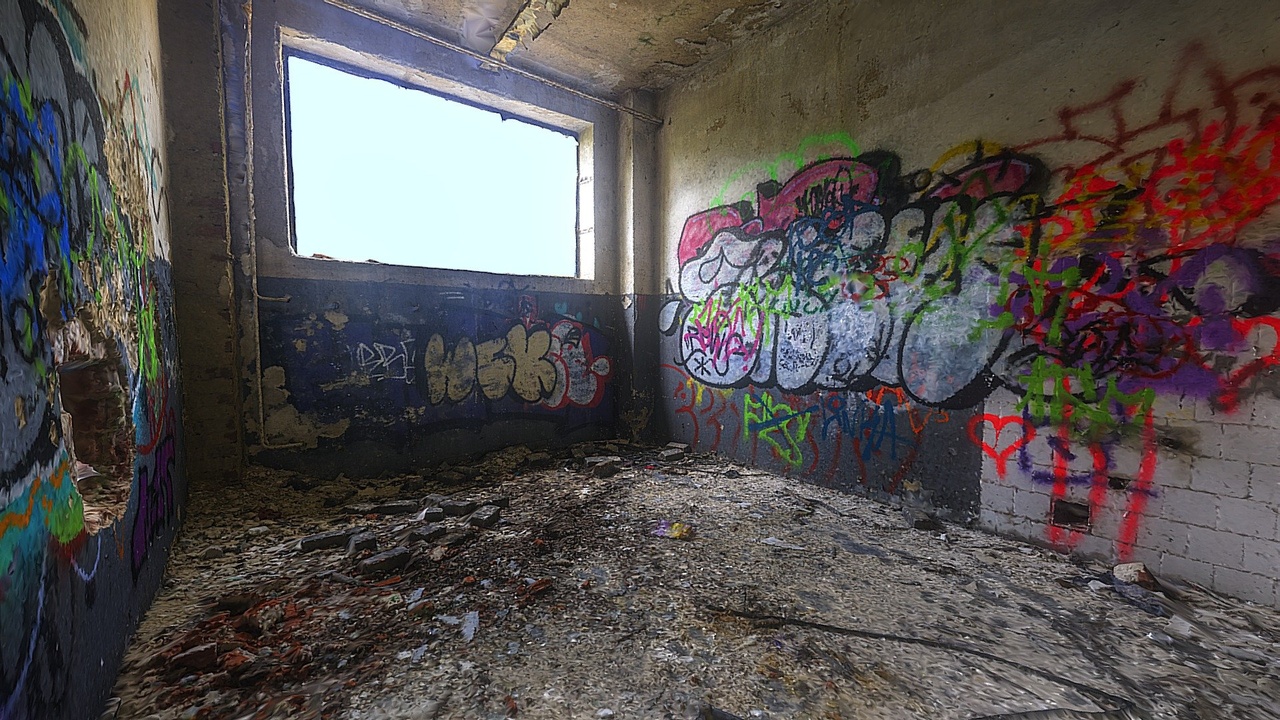 Media 1 for listing Abandoned room I.