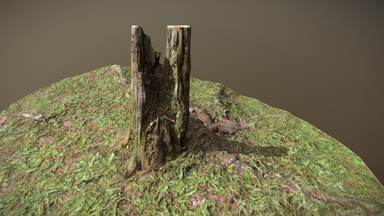 Media 1 for listing Trunk Lowpoly