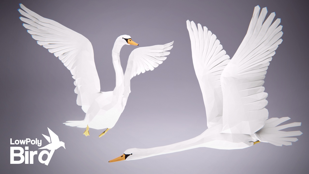 Media 1 for listing Low Poly Bird: Swan