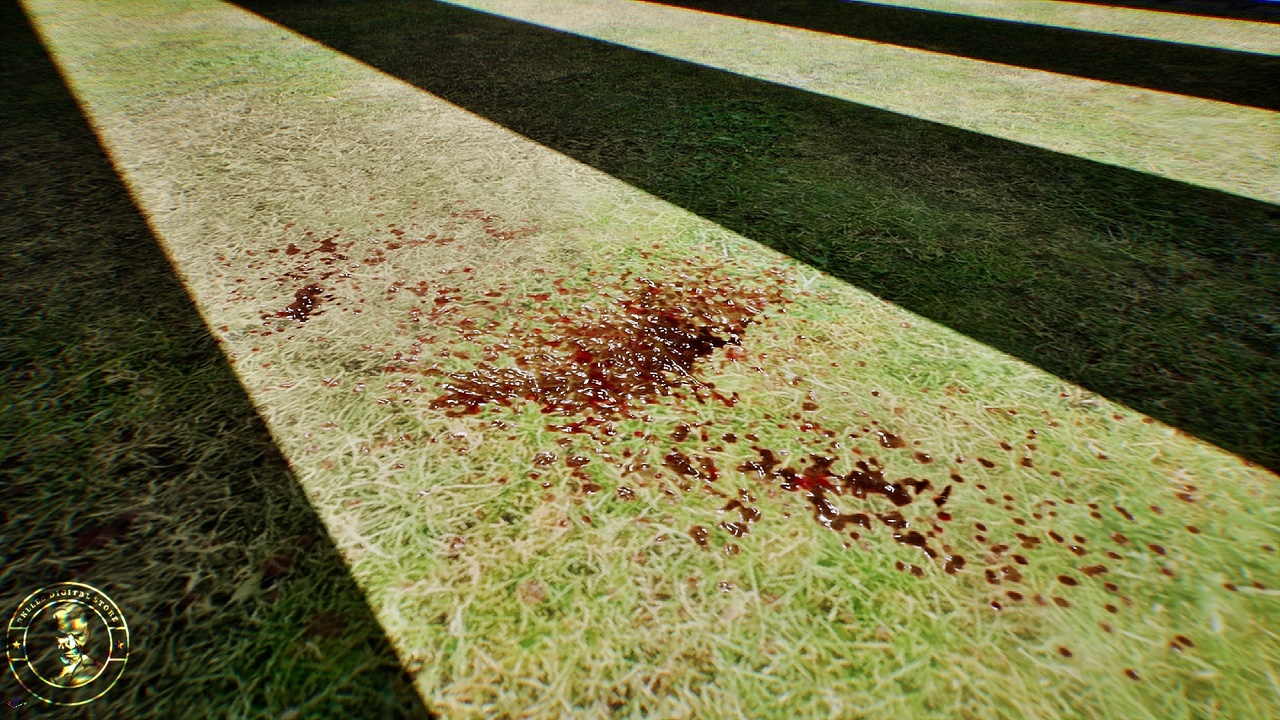 File multimediali per l'articolo Animated Blood Ground Decal Vol.I: 1