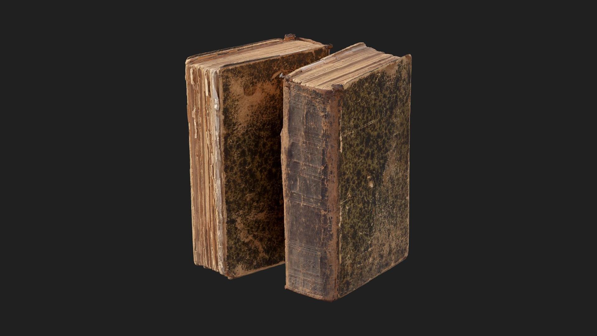 Old Damaged Book | Fab