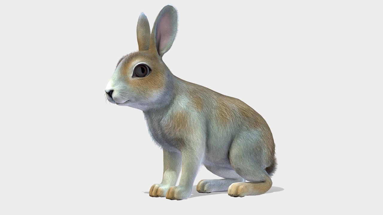 Medium 1 für Eintrag Bunny