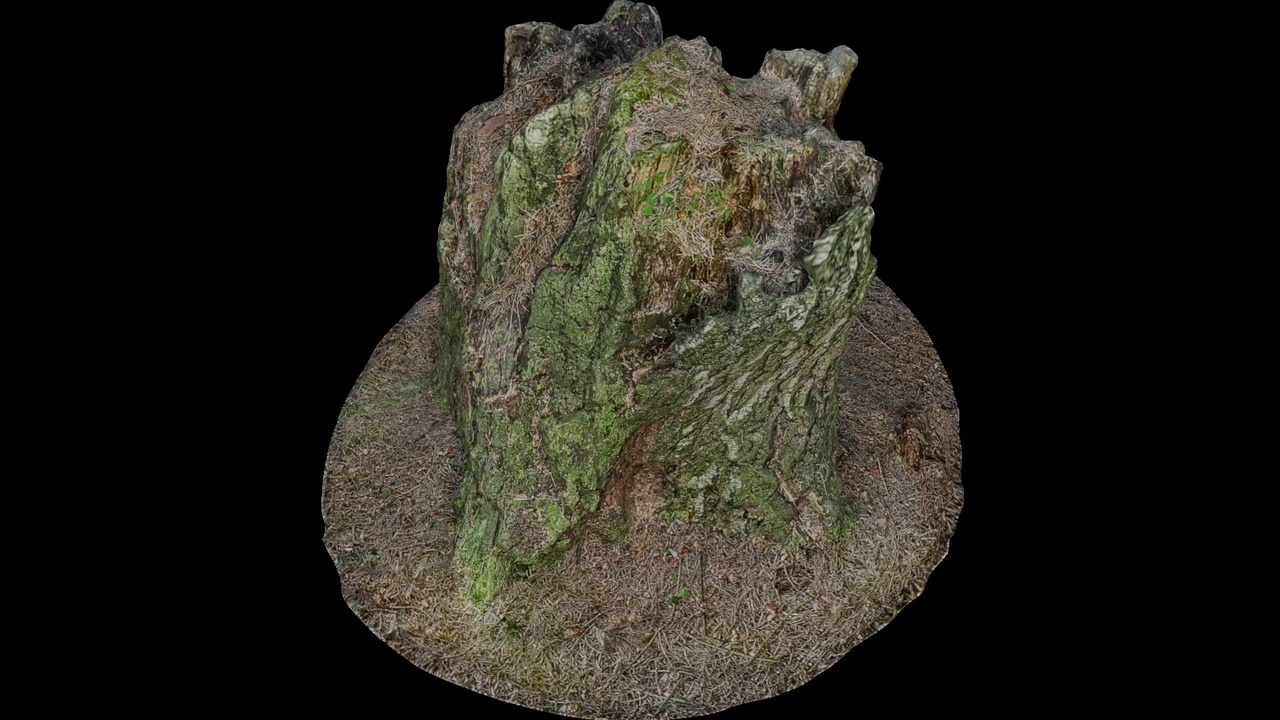 Rustic Moss-Covered Tree Stump | Fab
