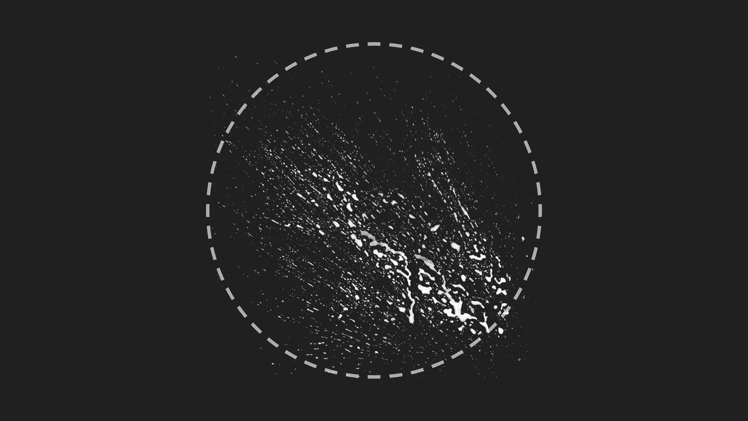 Media 1 for listing Mud Splash