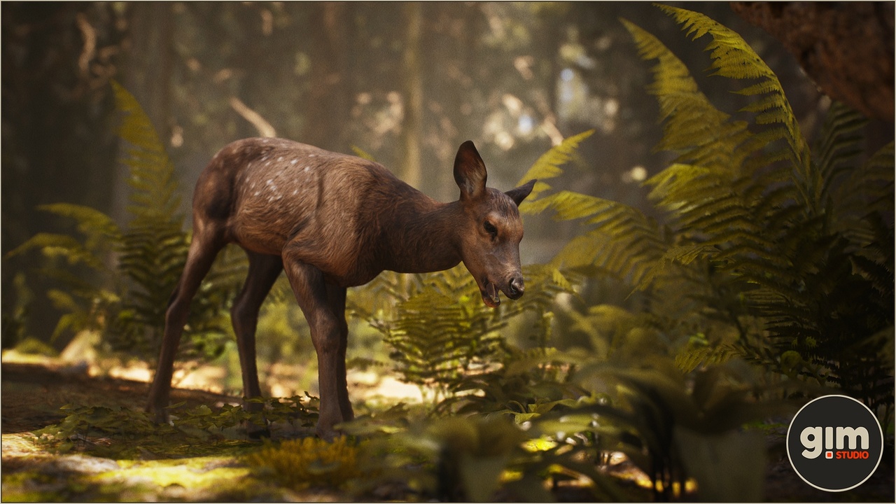 Media 1 for listing Animalia - Elk (young)