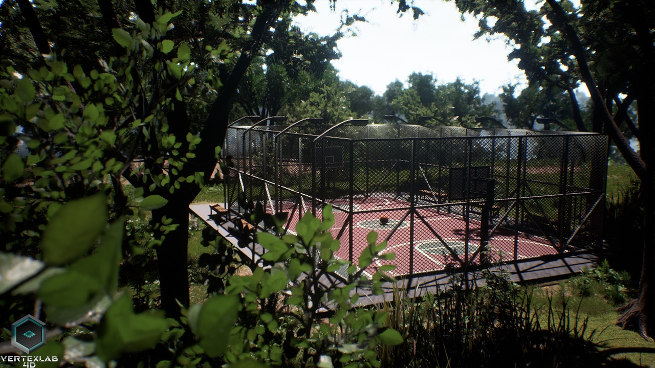 Media 1 for listing Basketball Court