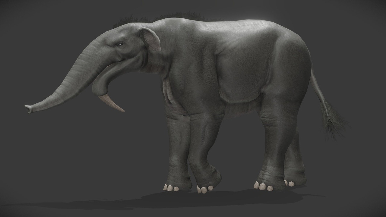Media 1 for listing Deinotherium Giganteum