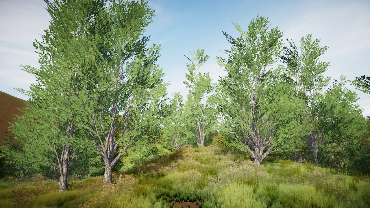Media 1 for listing Realistic Trees Pack 34 (Mobile/PC)