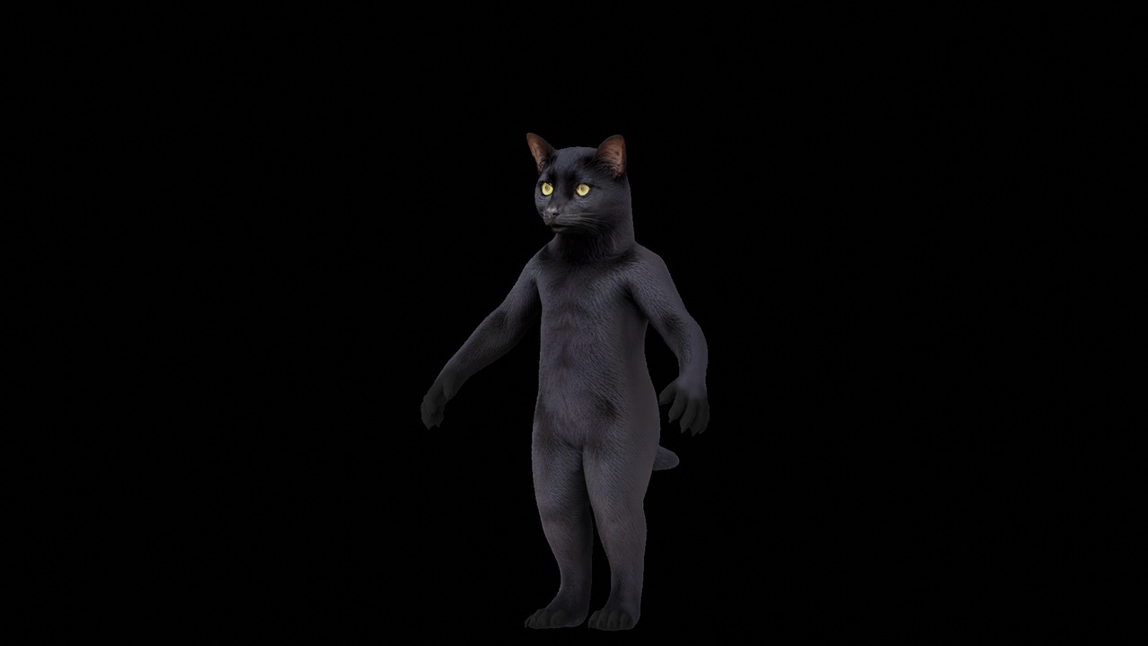 Media 1 for listing Black Cat Metahuman Halloween Character