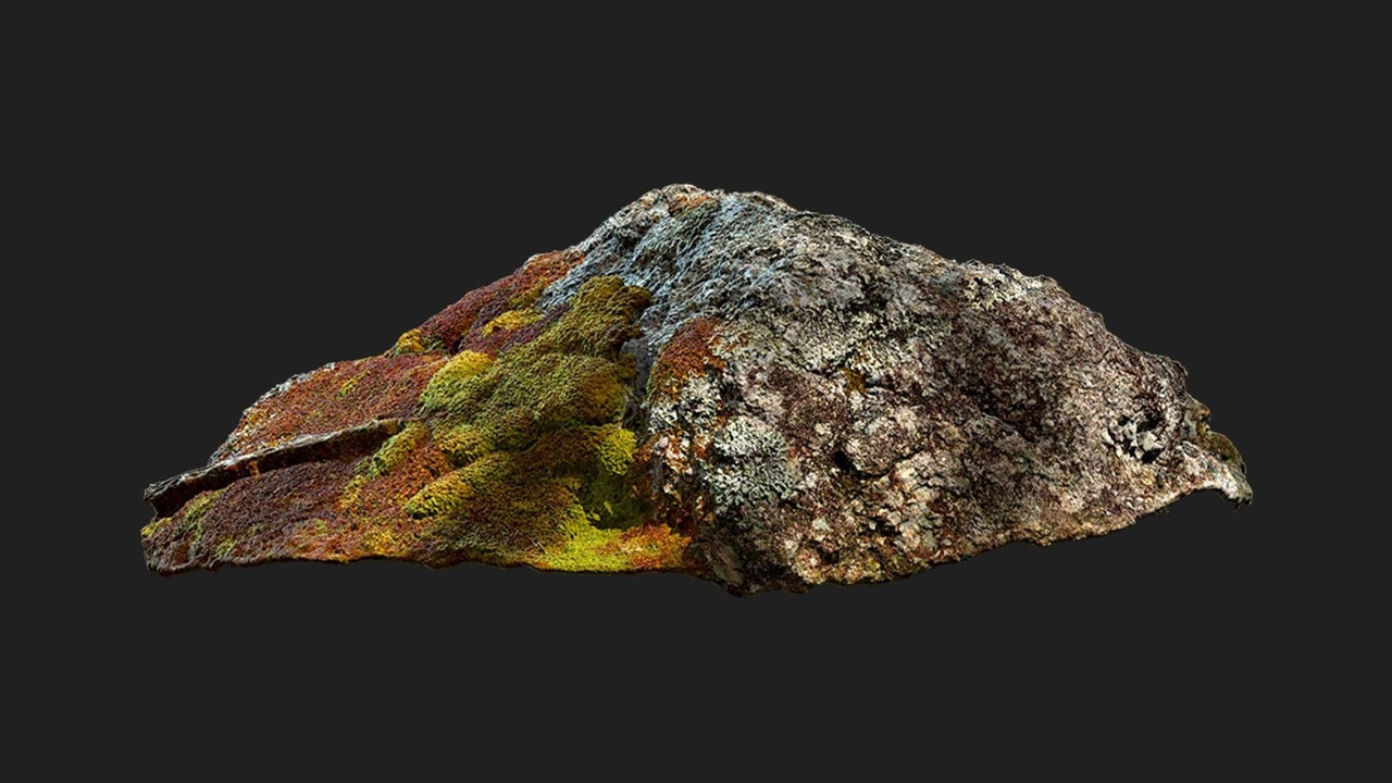 Media 1 for listing Lichen Rock