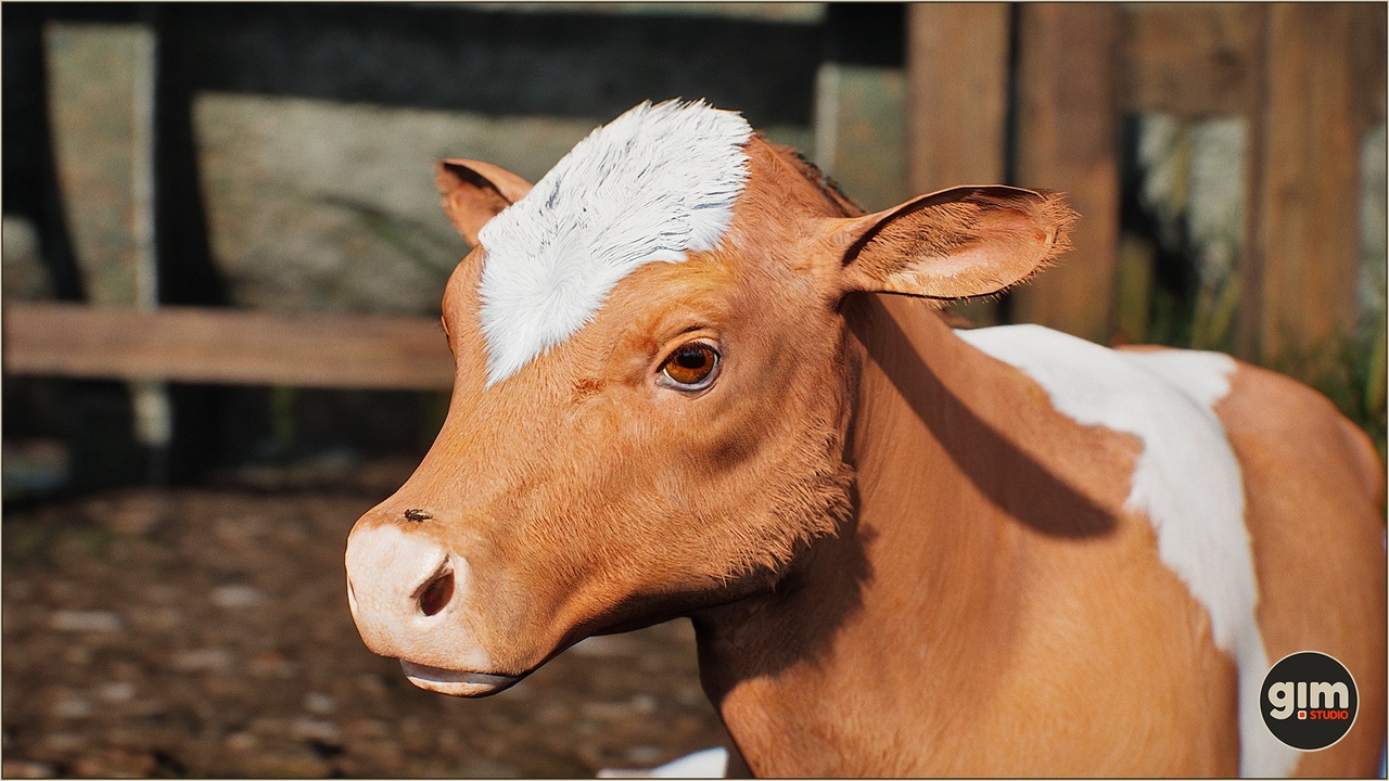 Media 1 for listing Animalia - Cow (young)