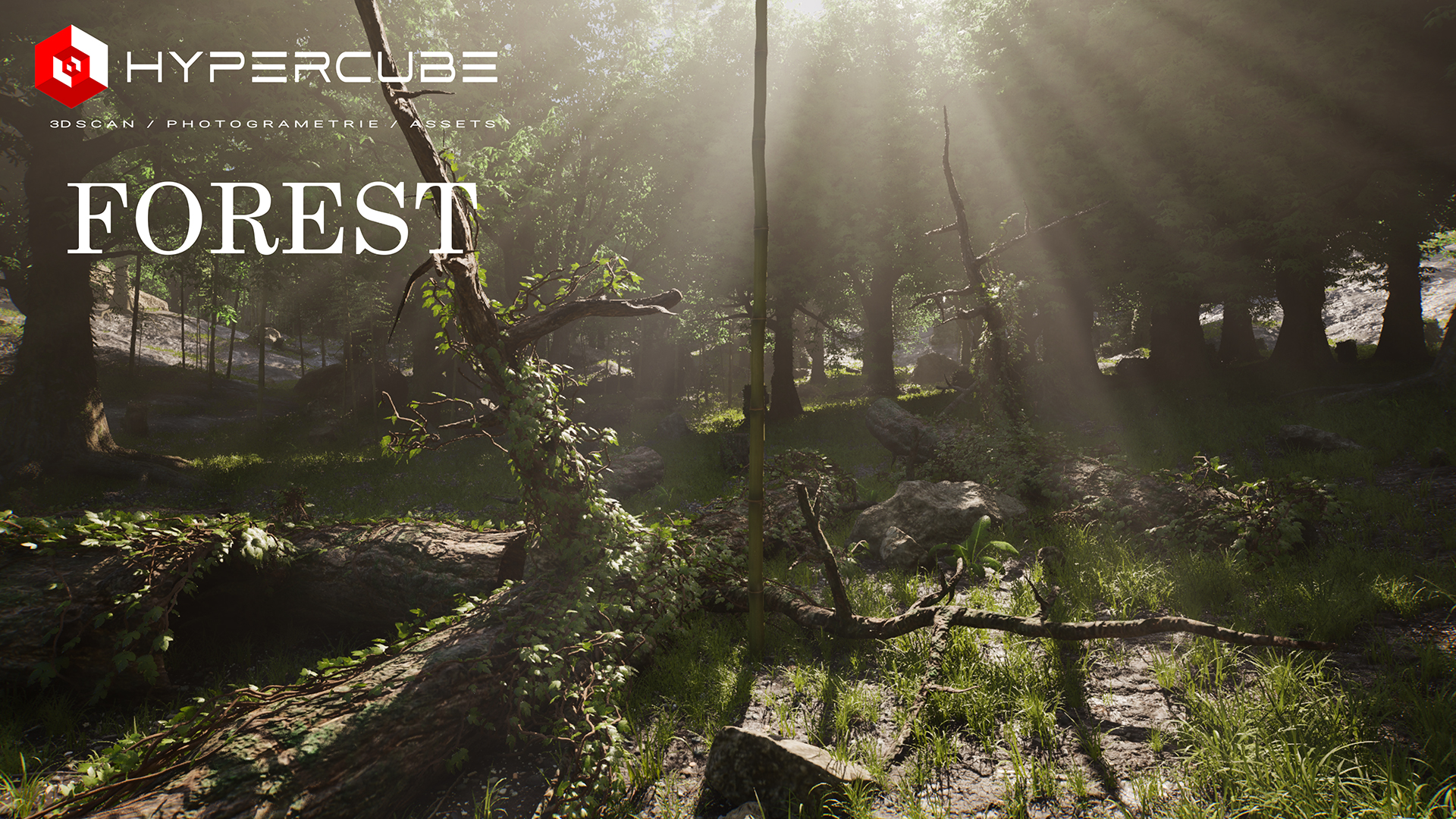HC FOREST | Fab