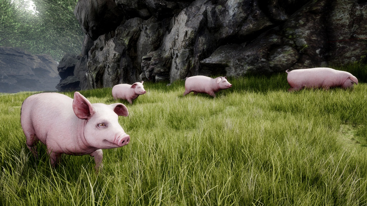 出品PIGSのメディア1