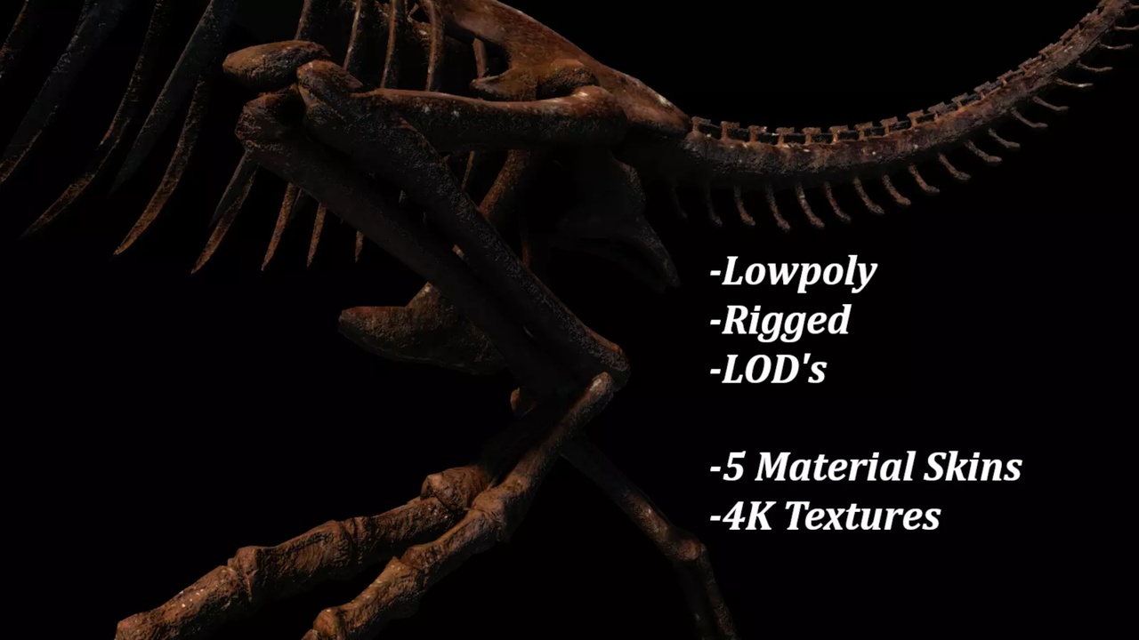 PBR Rigged T-Rex Skeleton and Bone Collection | Fab